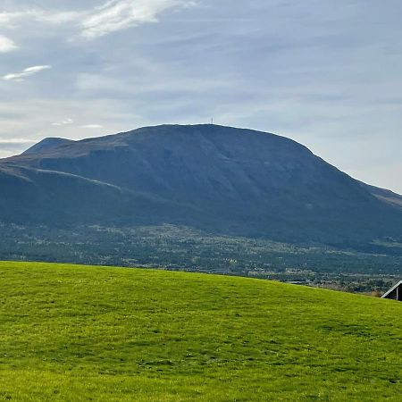 Koselig Leilighet , Med Parkering Og Ski In &Out. Lägenhet Oppdal Exteriör bild