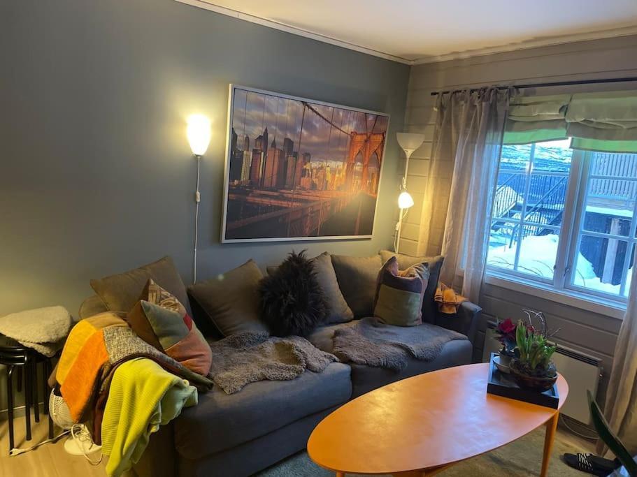 Koselig Leilighet , Med Parkering Og Ski In &Out. Lägenhet Oppdal Exteriör bild