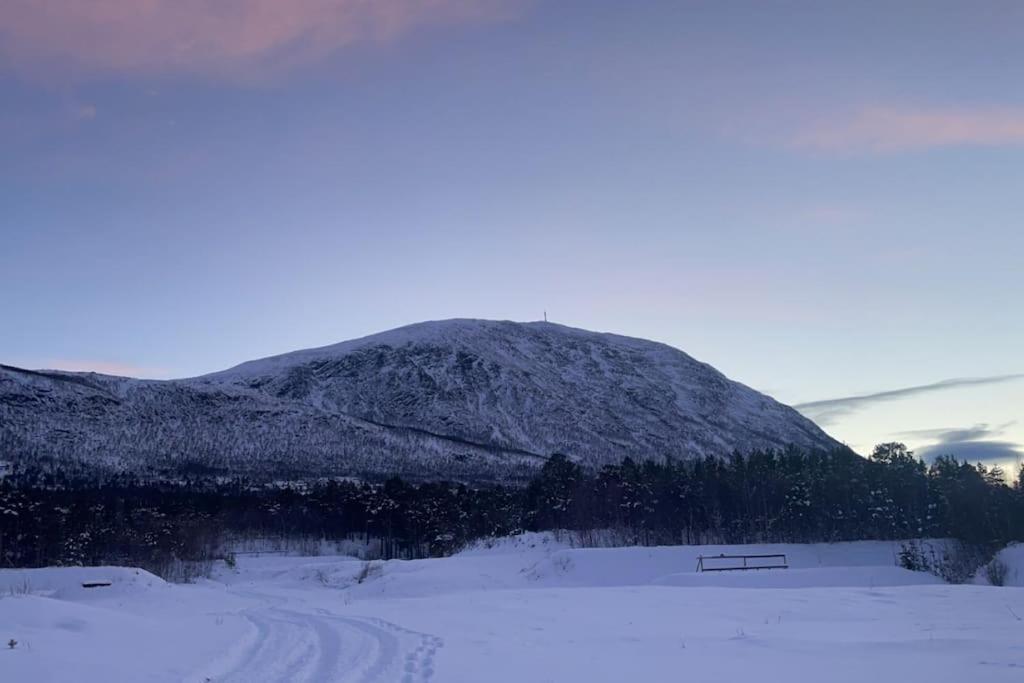 Koselig Leilighet , Med Parkering Og Ski In &Out. Lägenhet Oppdal Exteriör bild