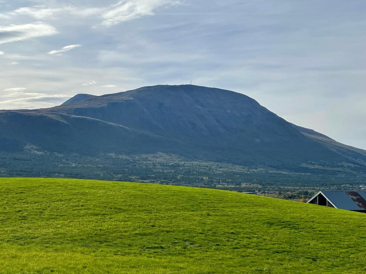 Koselig Leilighet , Med Parkering Og Ski In &Out. Lägenhet Oppdal Exteriör bild